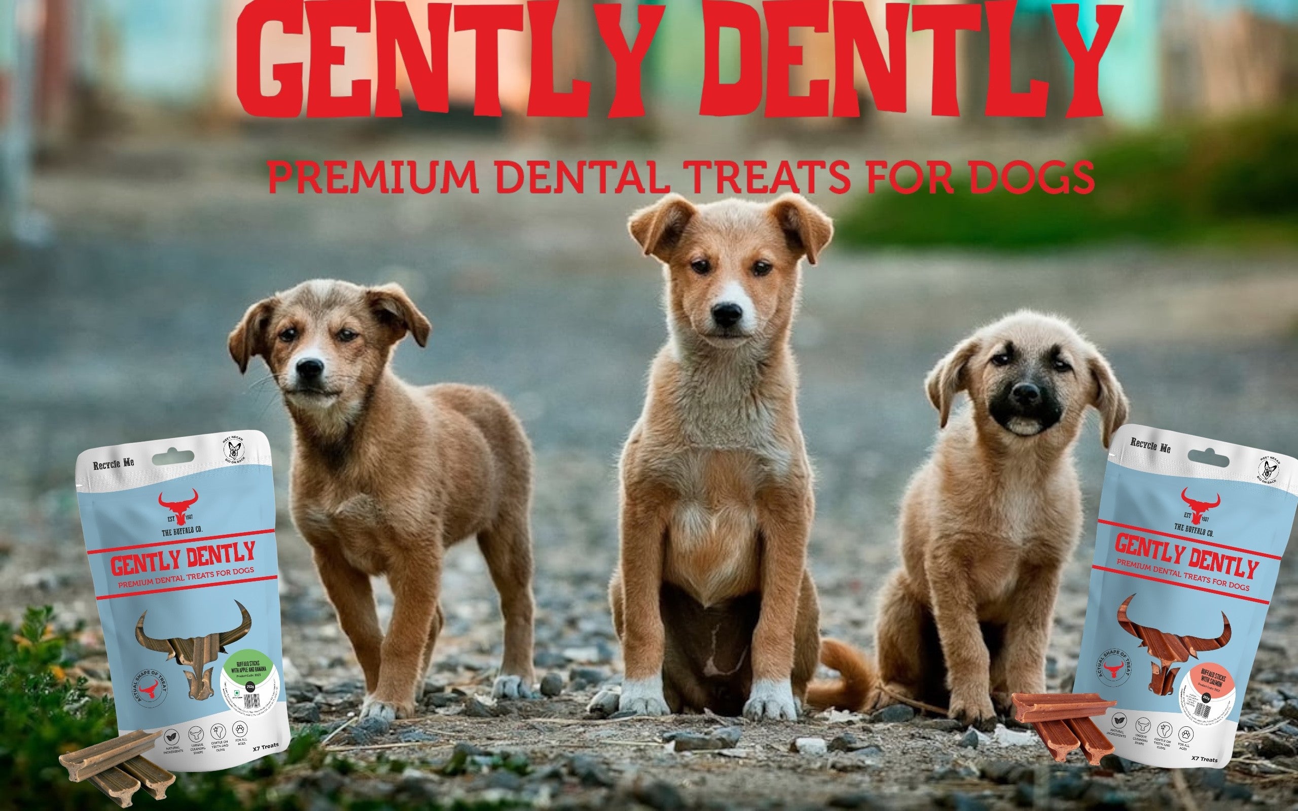 Dentley dog treats hotsell