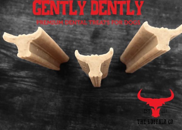 Gently Dently- Chicken Dental Treats for Dogs 175g