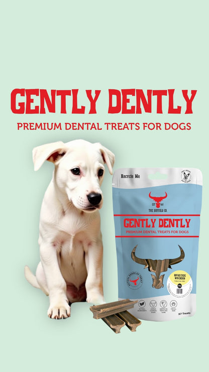 Gently Dently- Chicken Dental Treats for Dogs 175g